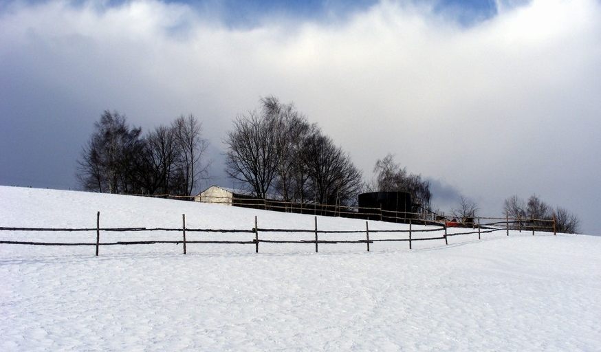 Farma Halenkovice – hospodářská zvířata, fotografie 62